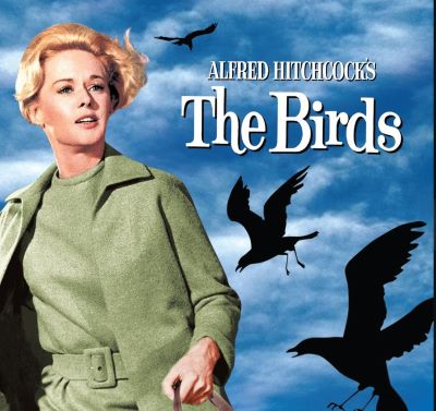 CLASSIC MOVIE NIGHT - THE BIRDS