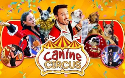 THE CANINE CIRCUS