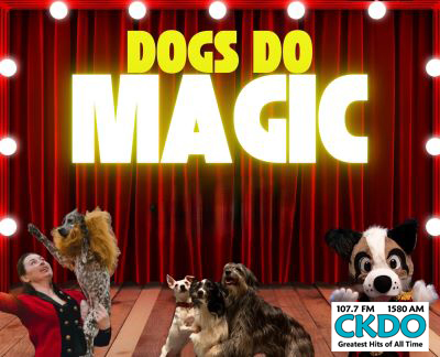 DOGS DO MAGIC